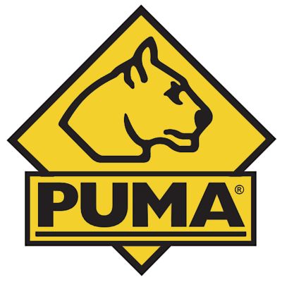 Logo-Puma gold klein